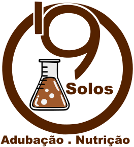 Logo i9Solos